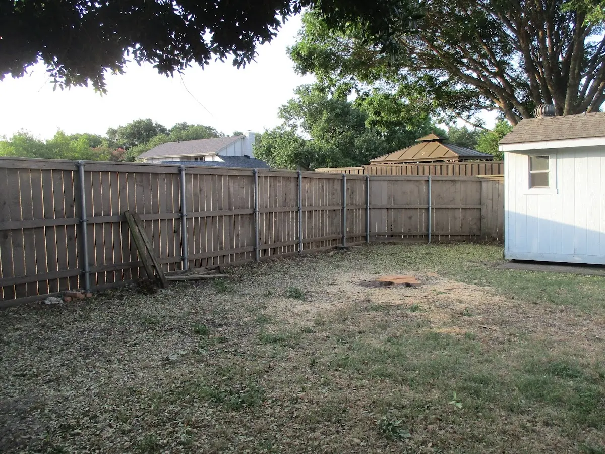 Cleared yard after professional tree removal in Scotland Neck